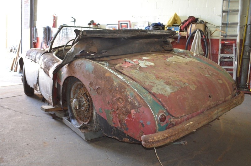 Used 1954 Austin Healey 100-4  | Astoria, NY