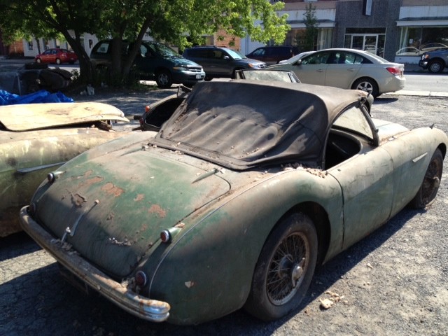 Used 1956 Austin Healey 100-4   | Astoria, NY