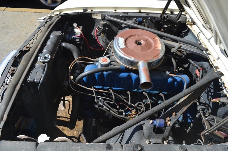 Used 1966 Ford Mustang   | Astoria, NY