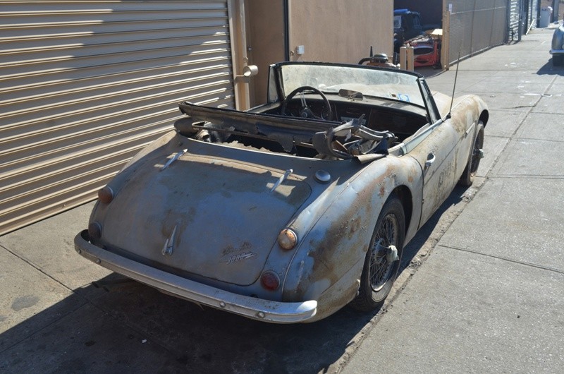 Used 1966 Austin Healey 3000 Mark III   | Astoria, NY