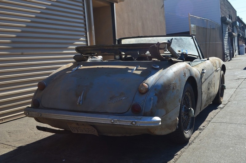 Used 1966 Austin Healey 3000 Mark III   | Astoria, NY