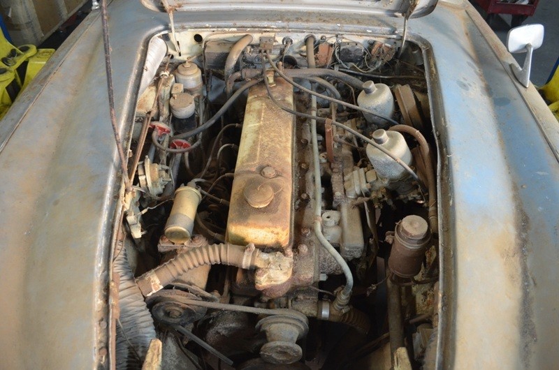 Used 1966 Austin Healey 3000 Mark III   | Astoria, NY