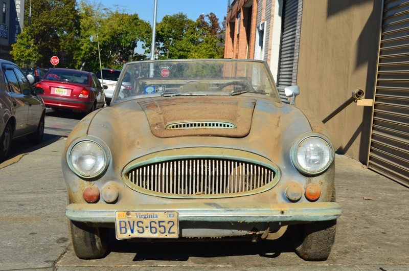 Used 1966 Austin Healey 3000 Mark III   | Astoria, NY
