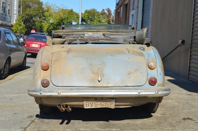 Used 1966 Austin Healey 3000 Mark III   | Astoria, NY