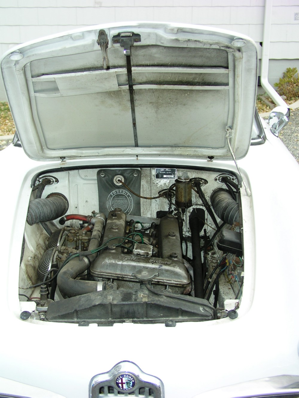 Used 1962 Alfa Romeo Gulietta   | Astoria, NY