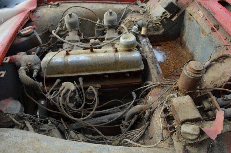 Used 1953 Triumph TR2   | Astoria, NY