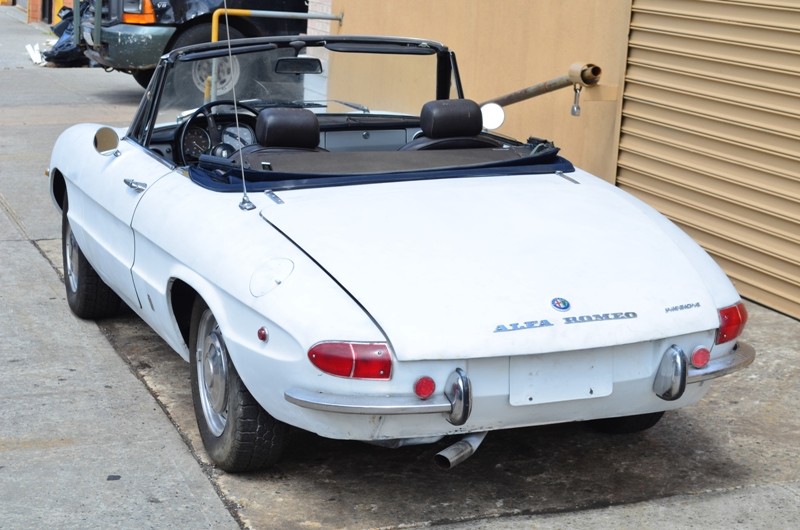 Used 1969 Alfa Romeo Spider Duetto   | Astoria, NY
