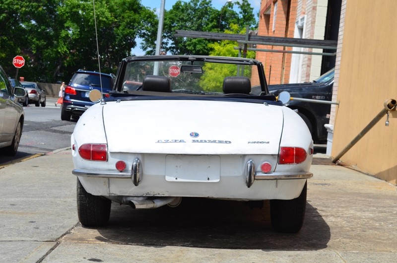 Used 1969 Alfa Romeo Spider Duetto   | Astoria, NY