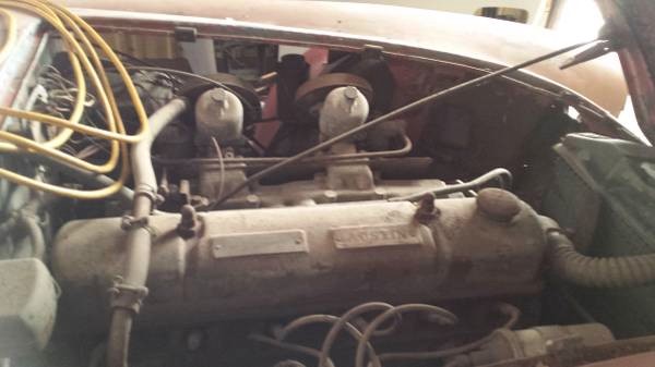 Used 1958 Austin Healey 100-6   | Astoria, NY
