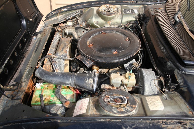 Used 1975 Peugeot 504   | Astoria, NY