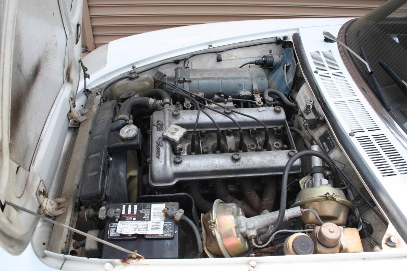 Used 1969 Alfa Romeo 1750  Spider Veloce | Astoria, NY
