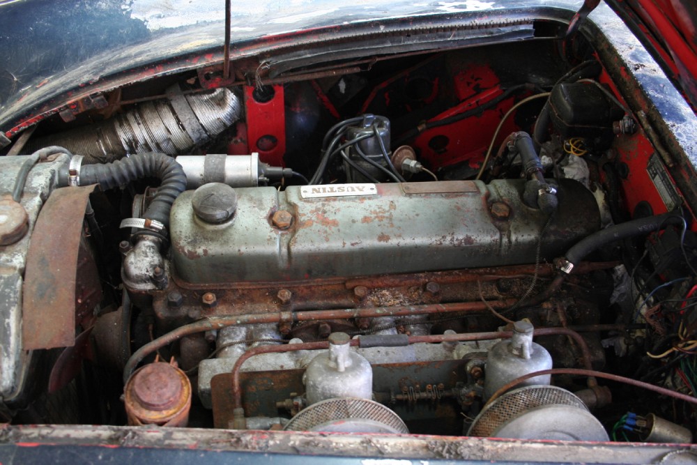 Used 1959 Austin Healey 100-6   | Astoria, NY