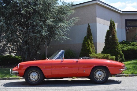 Used 1967 Alfa Romeo Spider 1600 | Astoria, NY
