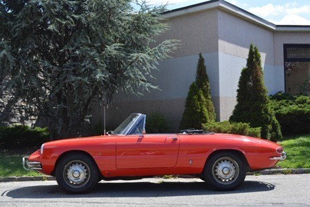 Used 1967 Alfa Romeo Spider  1600 | Astoria, NY