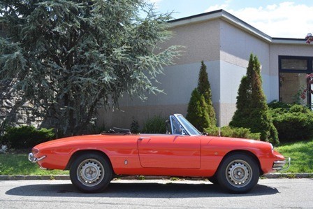 Used 1967 Alfa Romeo Spider 1600 | Astoria, NY