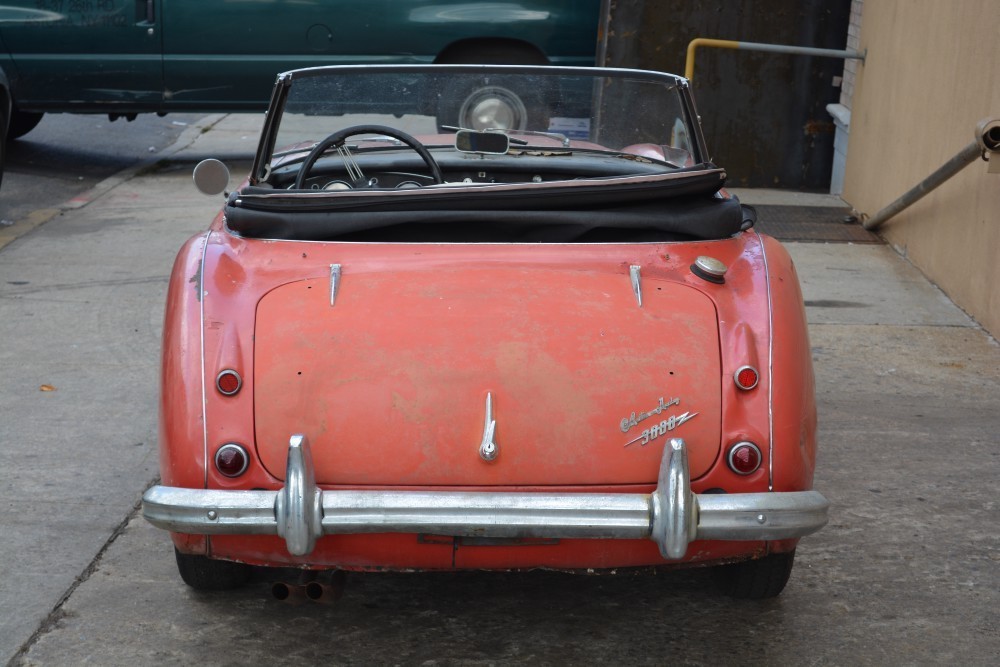 Used 1964 Austin Healey 3000 MK II  | Astoria, NY