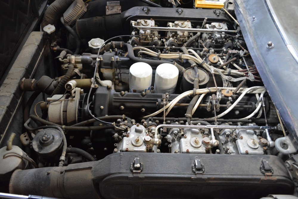 Used 1972 Ferrari 365 GTC/4   | Astoria, NY