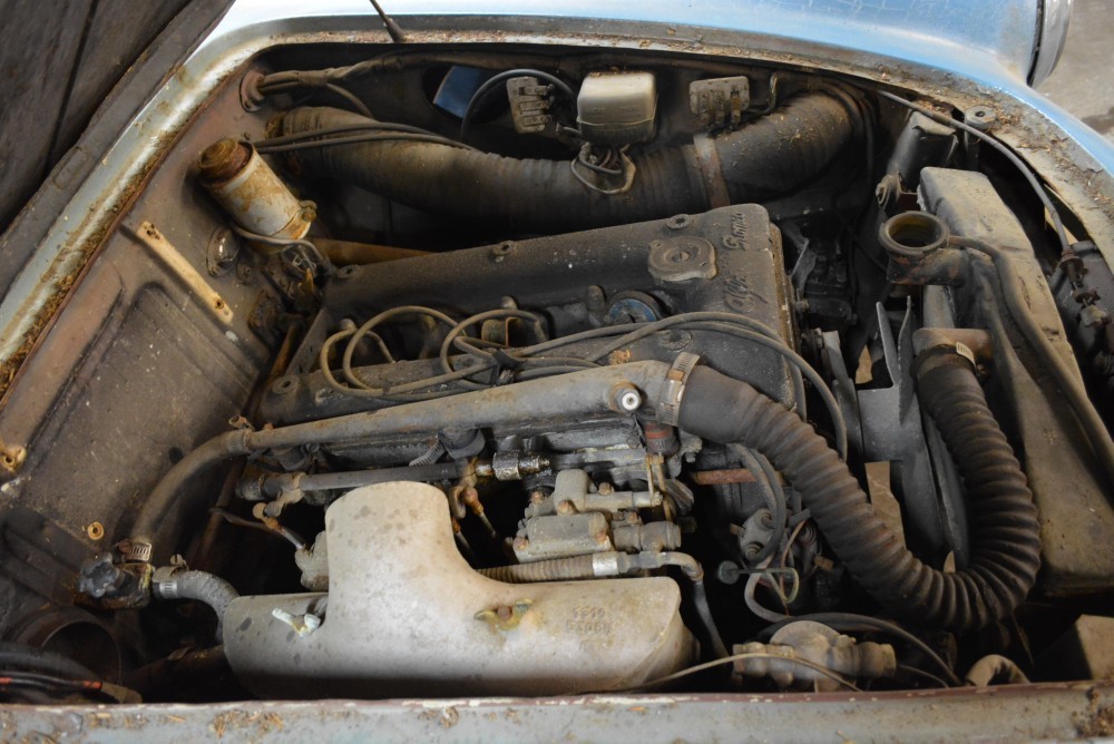 Used 1960 Alfa Romeo Giulietta Spider Veloce   | Astoria, NY