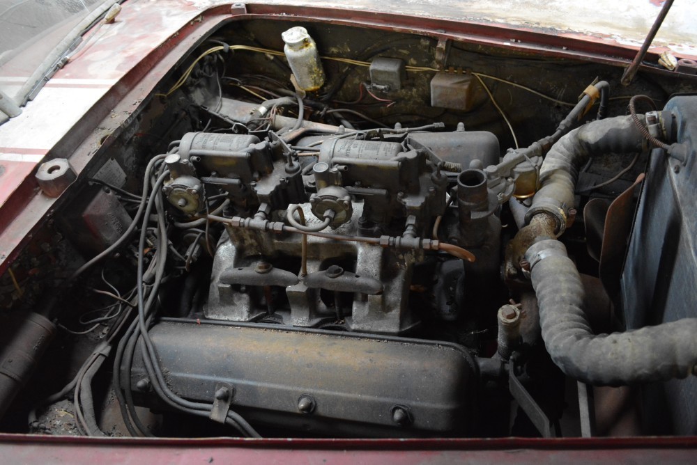 Used 1952 Siata Daina Gran Sport   | Astoria, NY