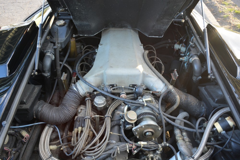 Used 1986 Lamborghini Countach  5000 Quattrovalvole | Astoria, NY