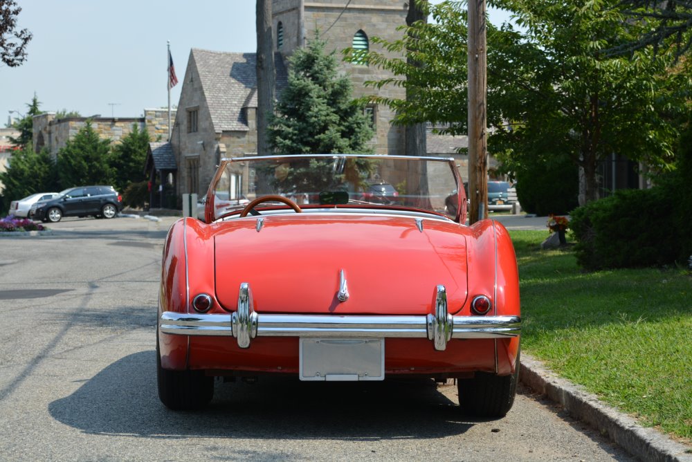 Used 1954 Austin Healey 100-4   | Astoria, NY
