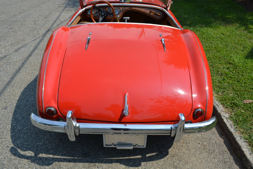 Used 1954 Austin Healey 100-4   | Astoria, NY