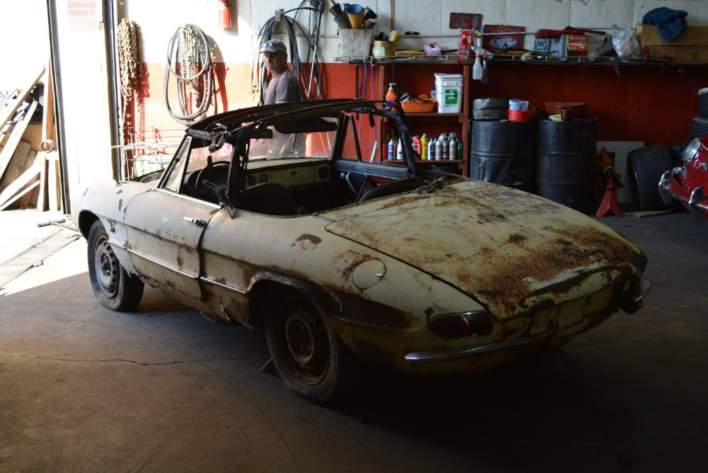 Used 1967 Alfa Romeo Duetto Spider   | Astoria, NY