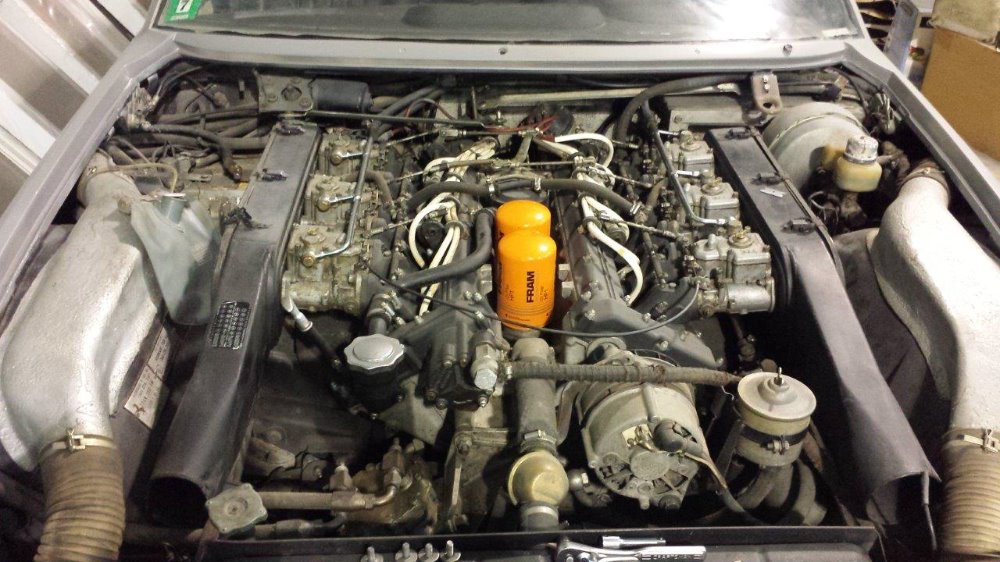 Used 1974 Ferrari 365GT4 2+2   | Astoria, NY