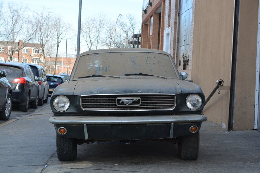 Used 1966 Ford Mustang Fastback  | Astoria, NY