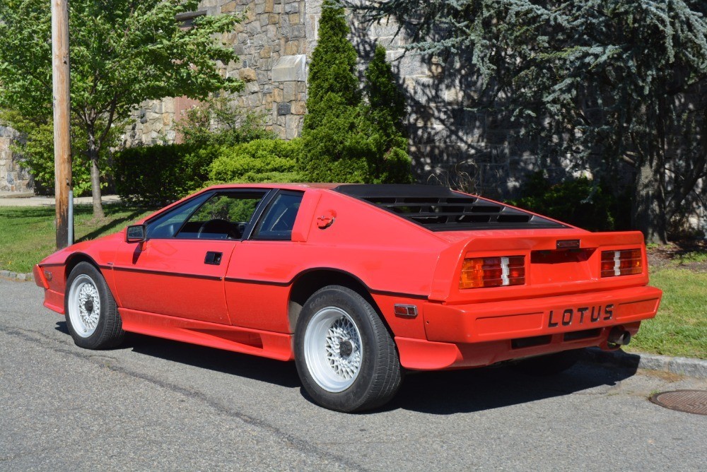 Used 1986 Lotus Esprit Turbo   | Astoria, NY