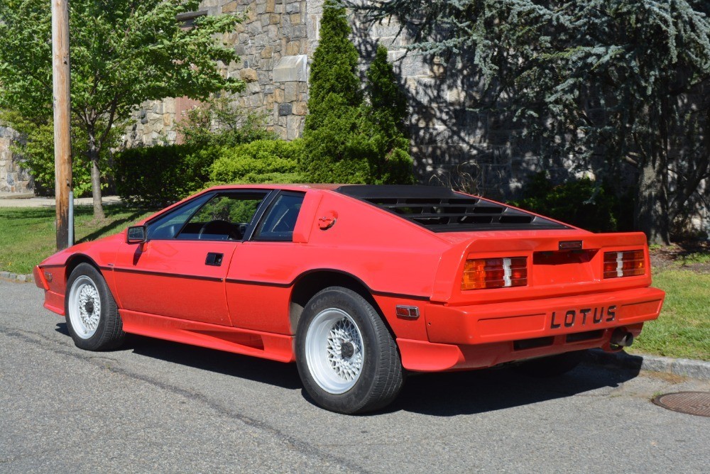 Used 1986 Lotus Esprit Turbo  | Astoria, NY