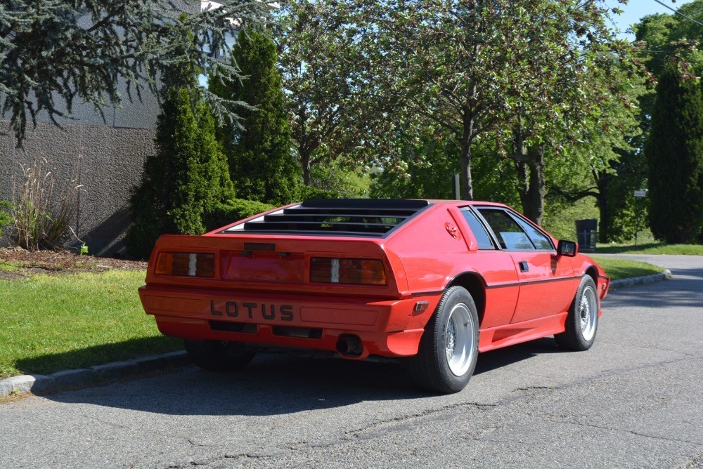 Used 1986 Lotus Esprit Turbo   | Astoria, NY