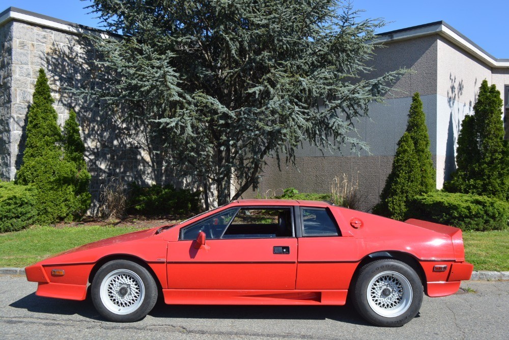 Used 1986 Lotus Esprit Turbo   | Astoria, NY