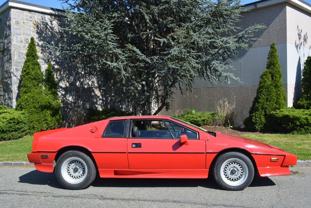 Used 1986 Lotus Esprit Turbo   | Astoria, NY