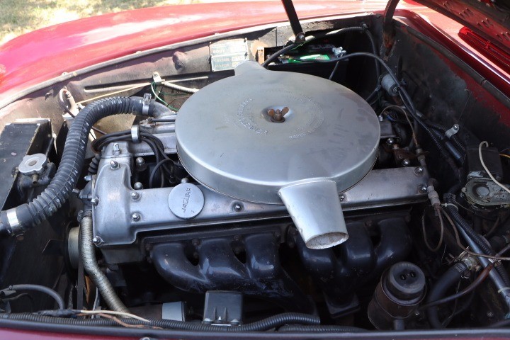 Used 1952 Nash Healey   | Astoria, NY