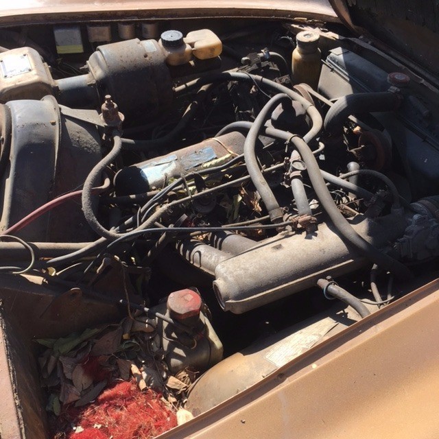Used 1971 Volvo P1800   | Astoria, NY