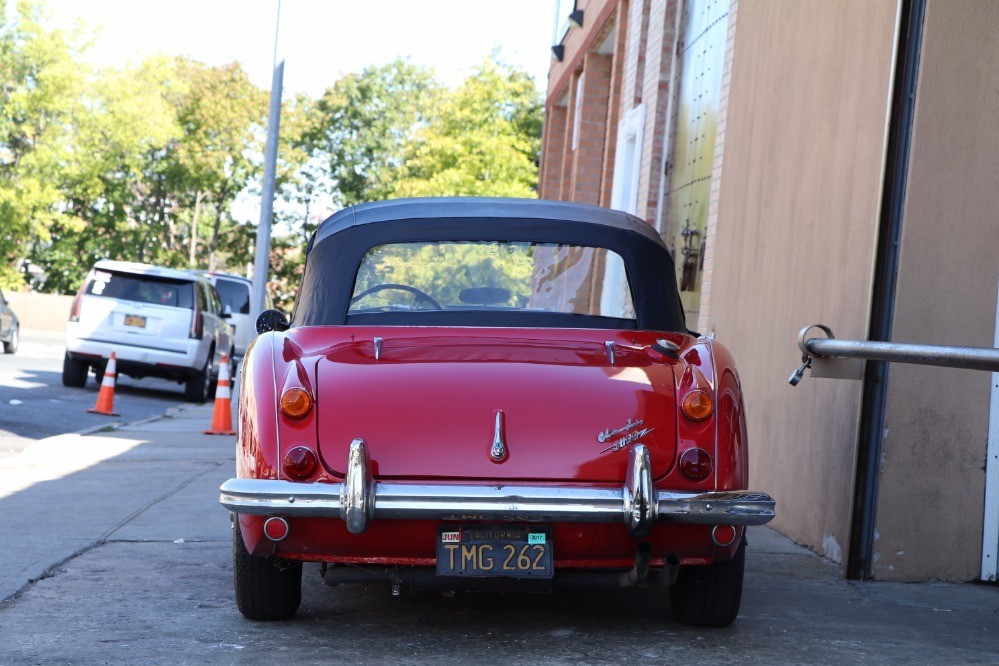 Used 1966 Austin Healey 3000 BJ8 | Astoria, NY