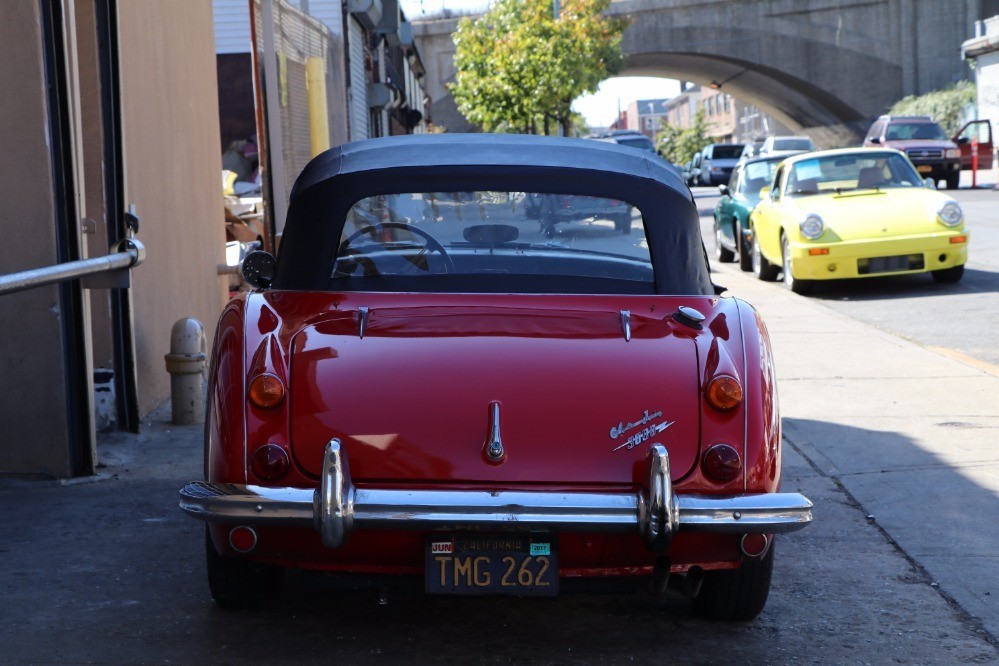 Used 1966 Austin Healey 3000 BJ8 | Astoria, NY