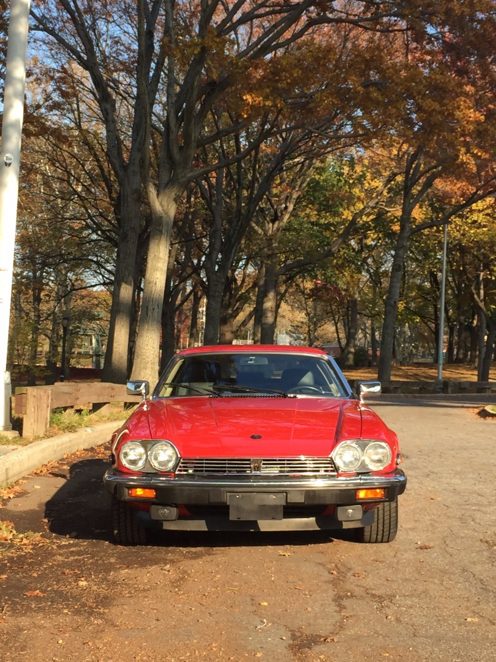 Used 1989 Jaguar XJS   | Astoria, NY