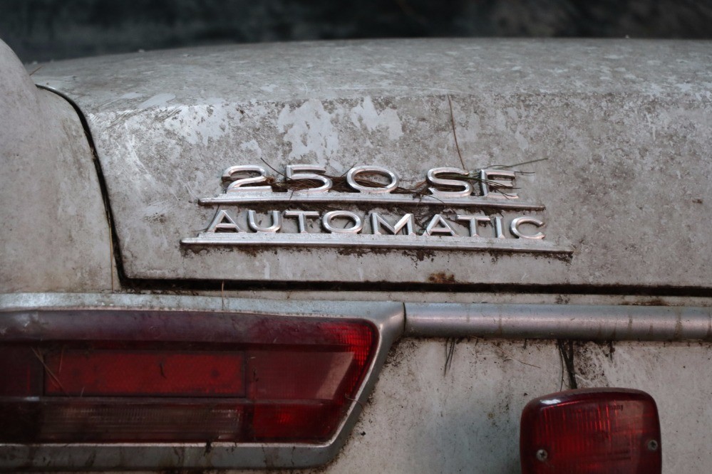 Used 1965 Mercedes-Benz 250SE Coupe   | Astoria, NY