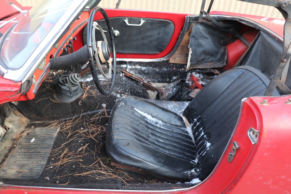Used 1961 Alfa Romeo Giulietta Spider Veloce   | Astoria, NY