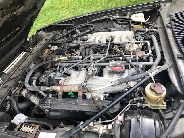 Used 1986 Jaguar XJ-SC V12   | Astoria, NY