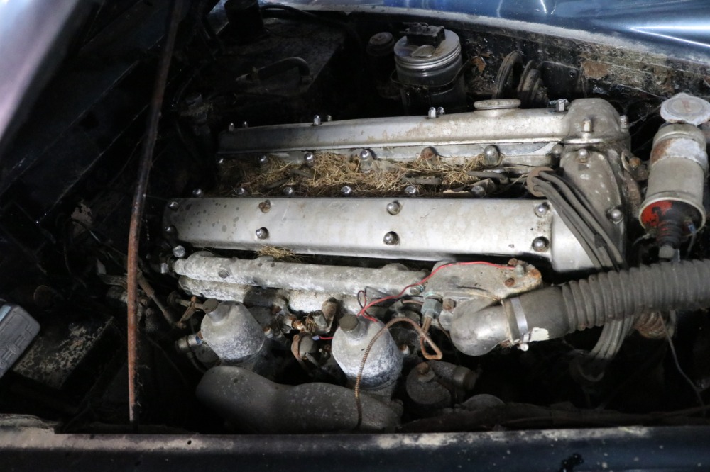 Used 1960 Jaguar XK150   | Astoria, NY
