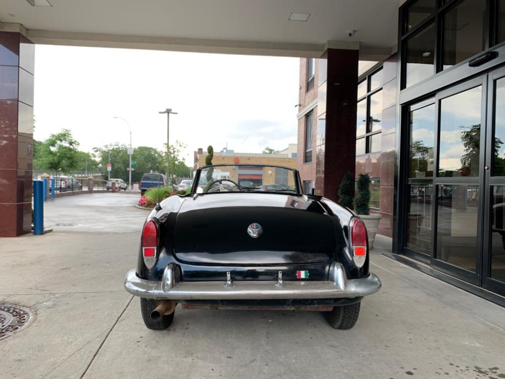 Used 1962 Alfa Romeo Giulietta Spider  | Astoria, NY