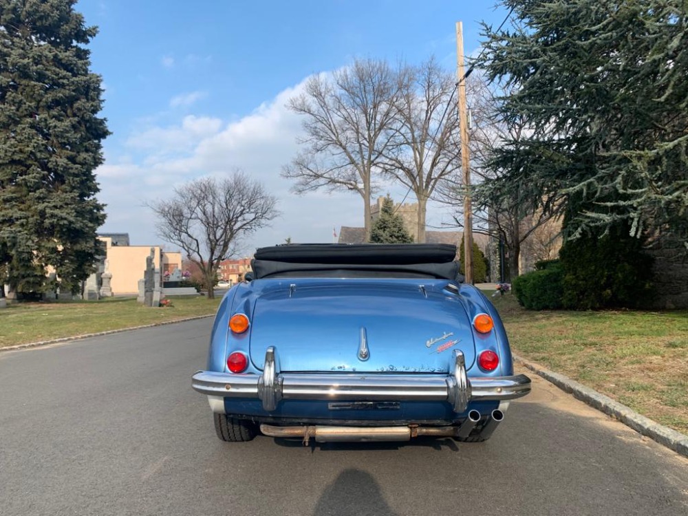 Used 1965 Austin Healey 3000 Mark III  | Astoria, NY