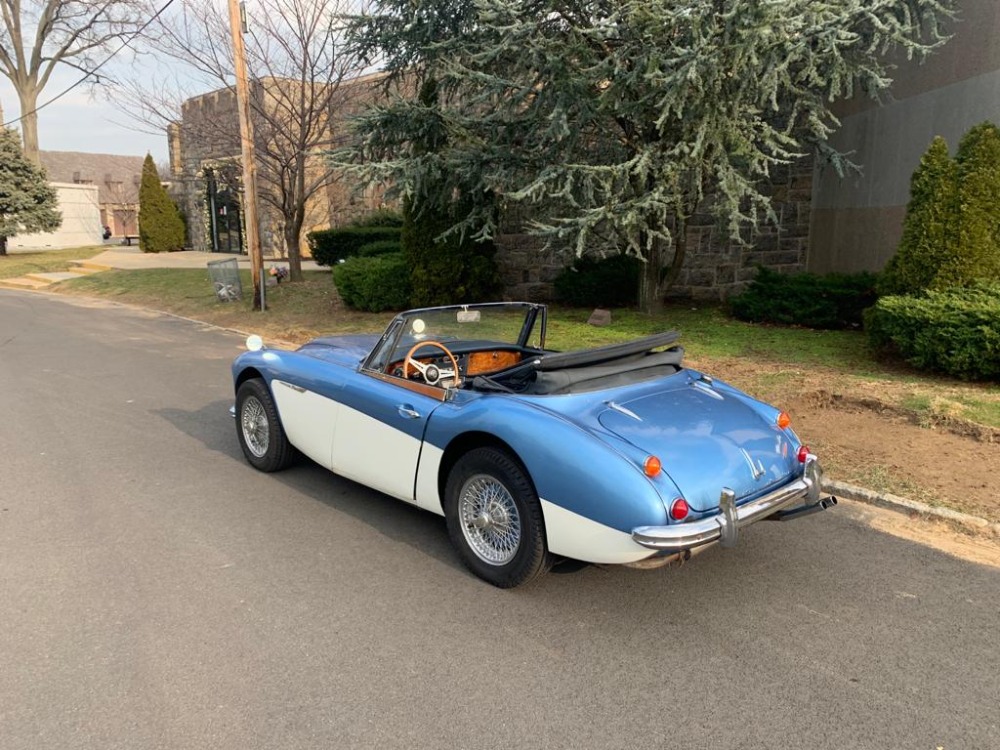 Used 1965 Austin Healey 3000 Mark III  | Astoria, NY