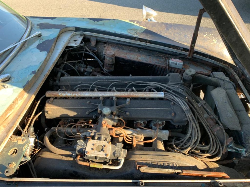 Used 1962 Maserati 3500GTI   | Astoria, NY