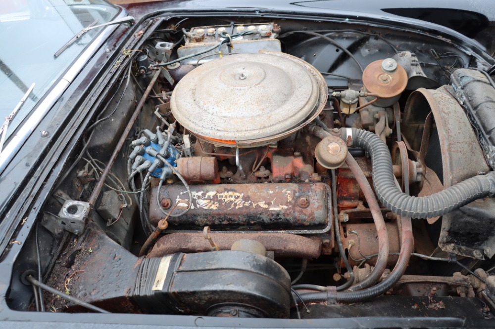 Used 1957 Ford Thunderbird   | Astoria, NY