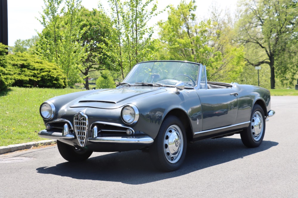 Used 1965 Alfa Romeo Guilia  | Astoria, NY