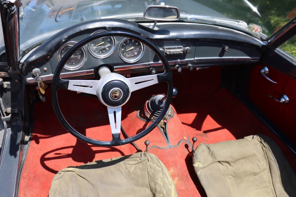 Used 1965 Alfa Romeo Guilia   | Astoria, NY